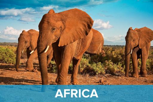 AAA Featured Destinations - Africa