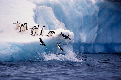 Expedition To Antarctica: Glaciers &amp; Penguins